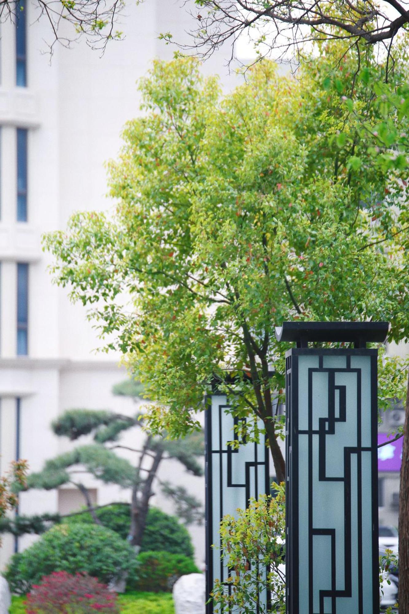 Holiday Inn Zhengzhou Zhongzhou By Ihg Exterior foto